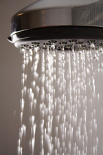 shower head